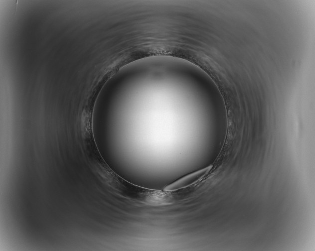 X0000088850096200706081142