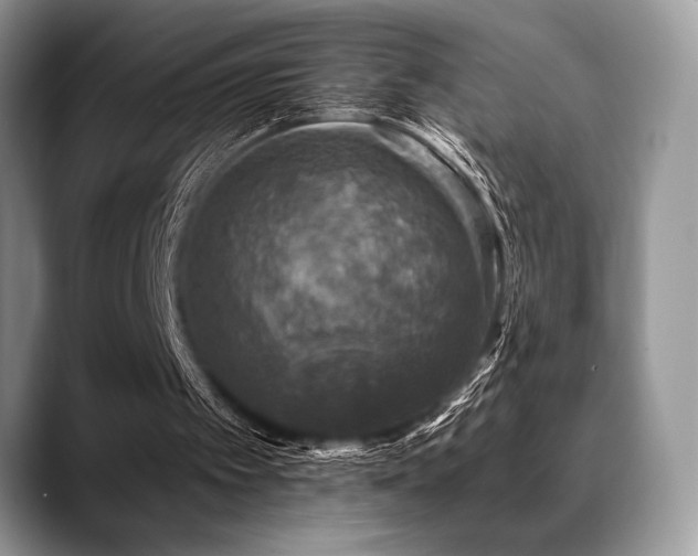 X0000088850097200706081142