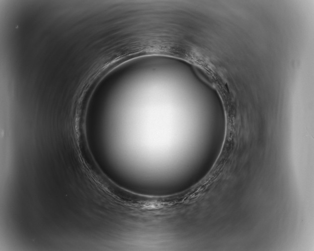 X0000088850098200706081142