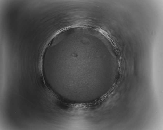 X0000088850100200706081142