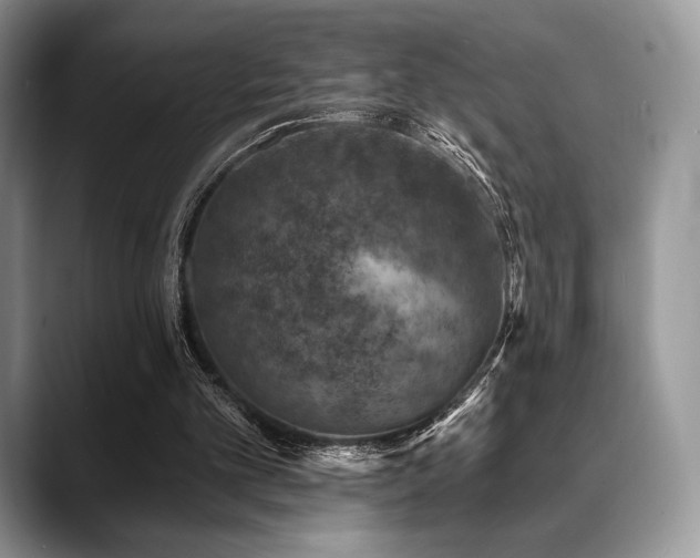 X0000088850101200706081142