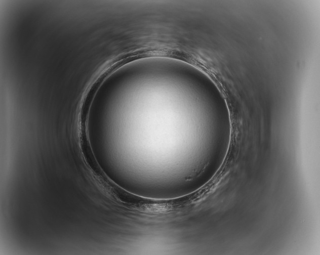 X0000088850102200706081142