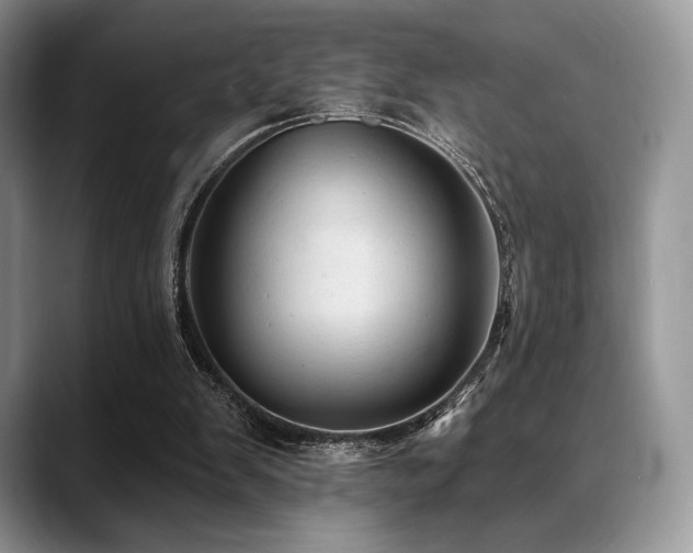 X0000088850103200706081142