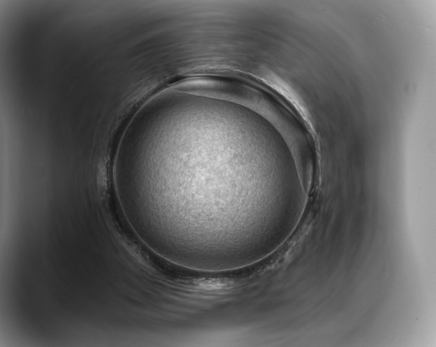 X0000088850105200706081142