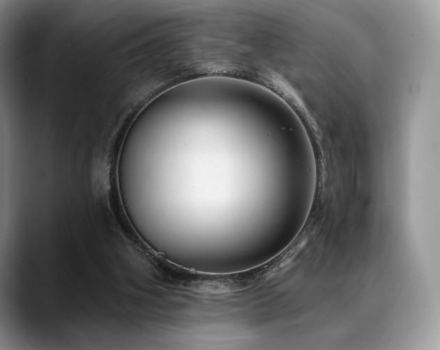 X0000088850106200706081142