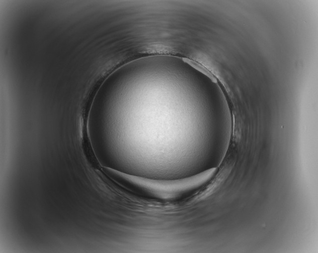 X0000088850109200706081142