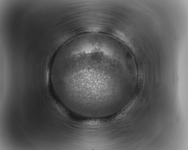 X0000088850110200706081142