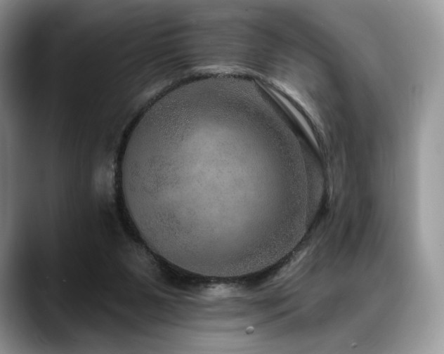 X0000088850111200706081142