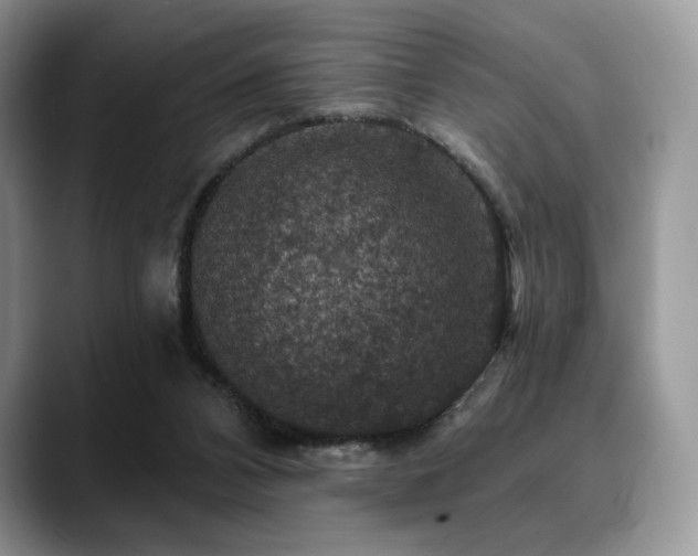 X0000088850112200706081142