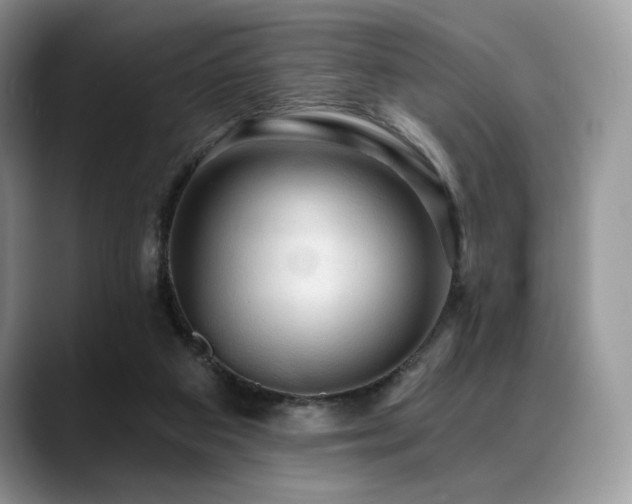 X0000088850113200706081142