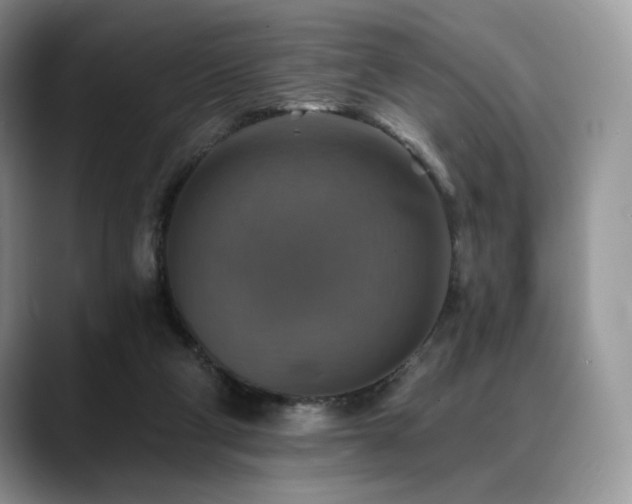 X0000088850114200706081142
