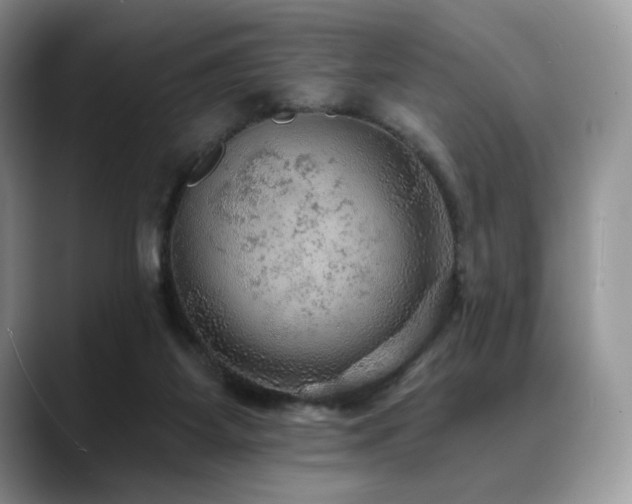 X0000088850115200706081142