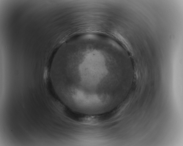 X0000088850117200706081142