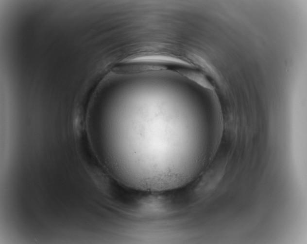 X0000088850119200706081142