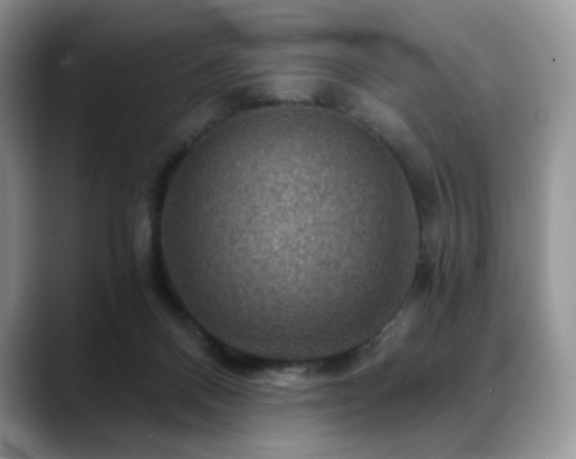 X0000088850120200706081142