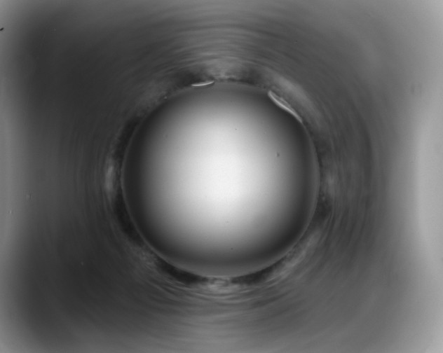 X0000088850121200706081142