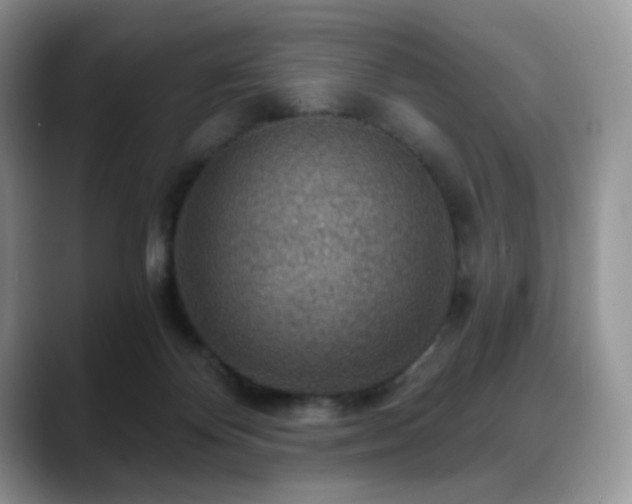 X0000088850124200706081141