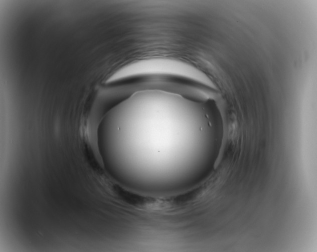 X0000088850125200706081141