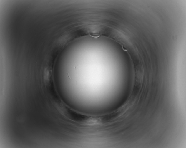 X0000088850126200706081141