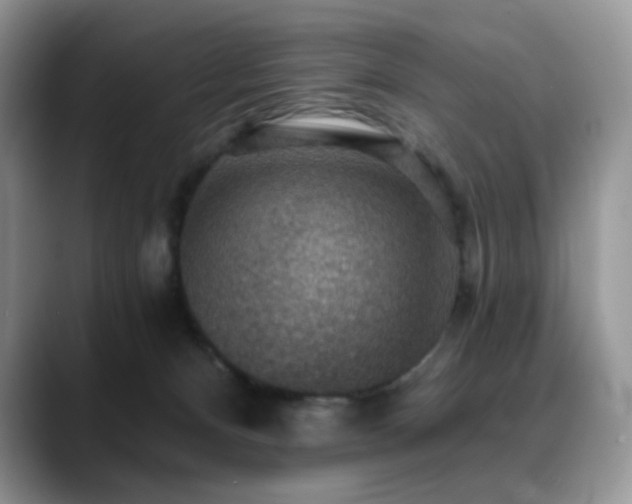 X0000088850128200706081141