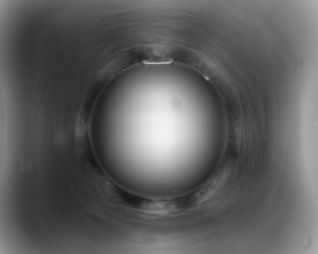 X0000088850129200706081141