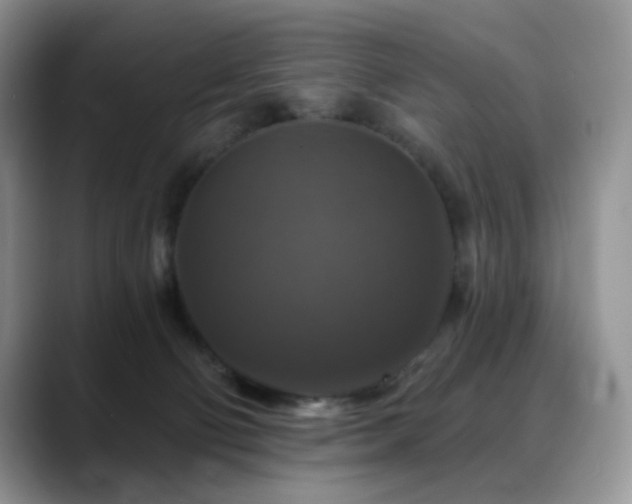 X0000088850130200706081141