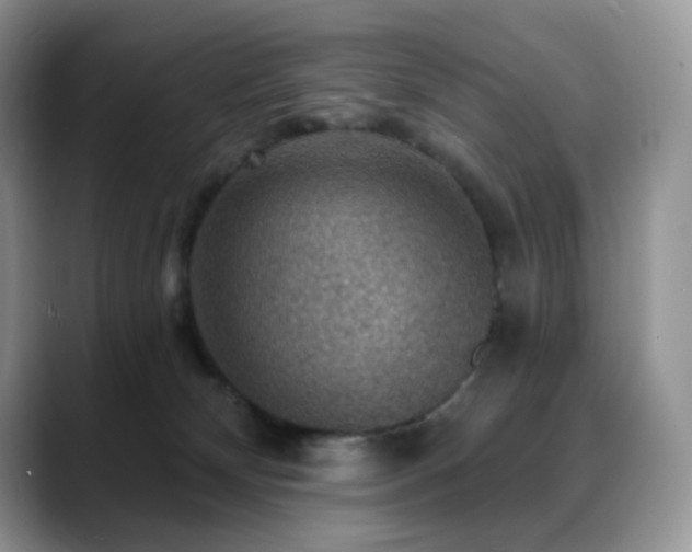 X0000088850132200706081141