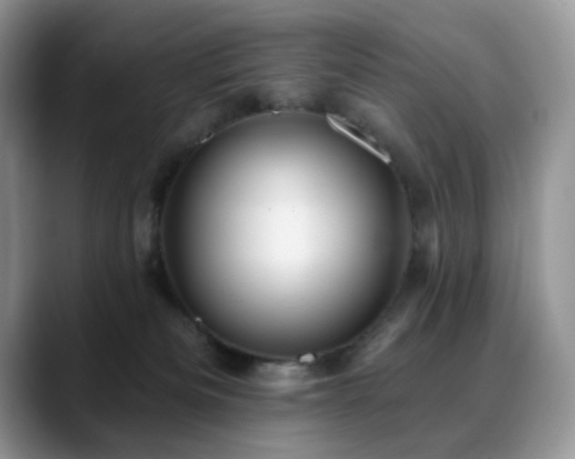 X0000088850133200706081141