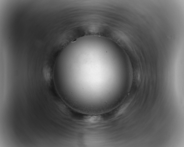X0000088850135200706081141