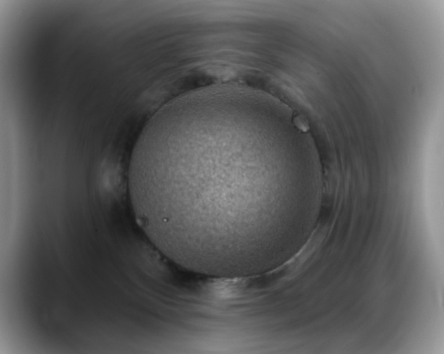 X0000088850136200706081141