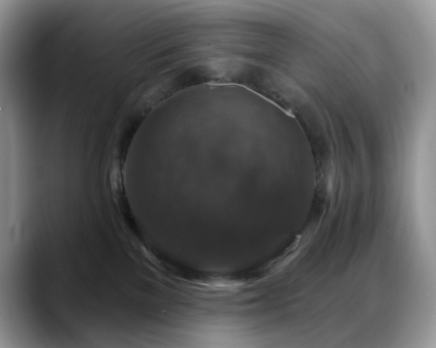 X0000088850137200706081141