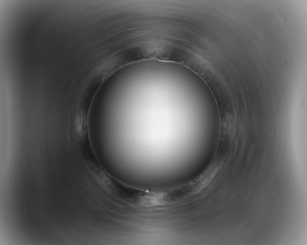 X0000088850138200706081141