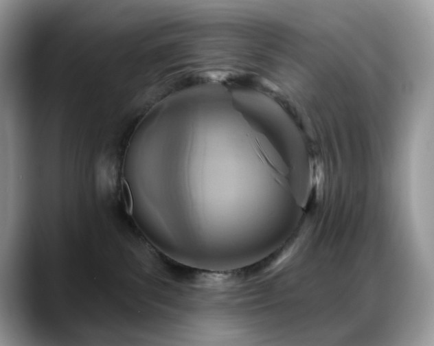 X0000088850139200706081141