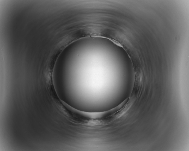 X0000088850141200706081141