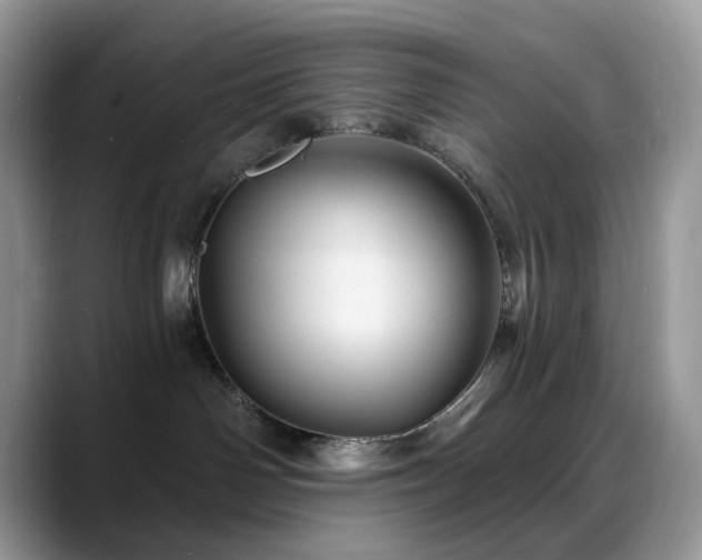 X0000088850142200706081141