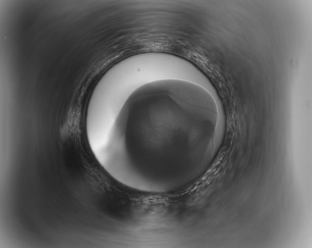 X0000088850146200706081141