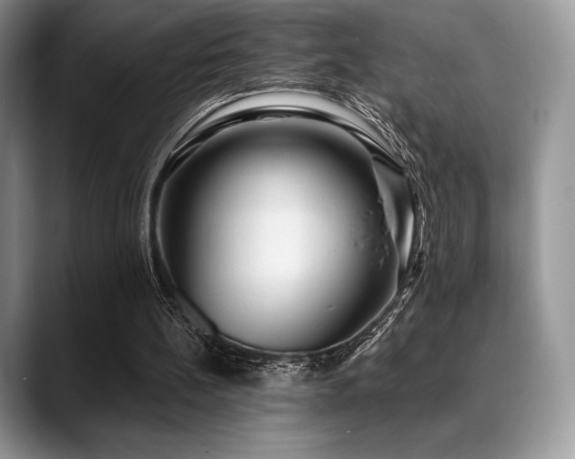 X0000088850148200706081141