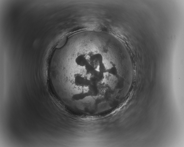 X0000088850149200706081141