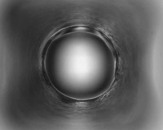 X0000088850150200706081141