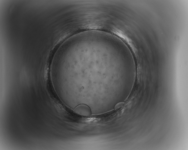 X0000088850153200706081141