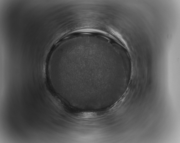 X0000088850154200706081141