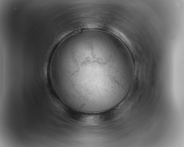 X0000088850155200706081141