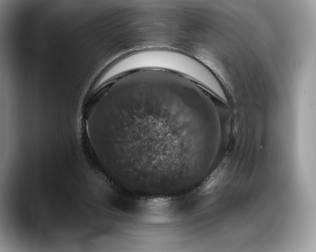 X0000088850156200706081141