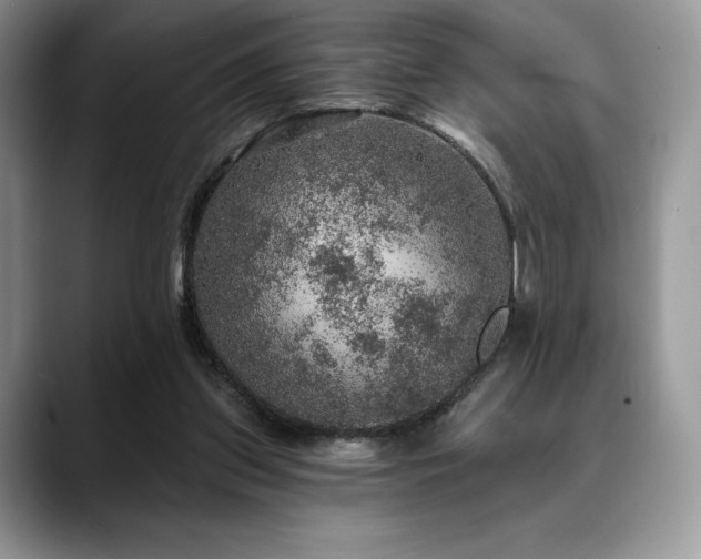 X0000088850157200706081141