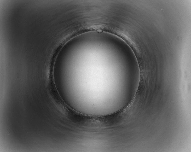 X0000088850159200706081141