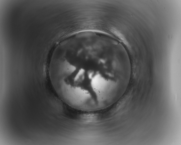 X0000088850161200706081141