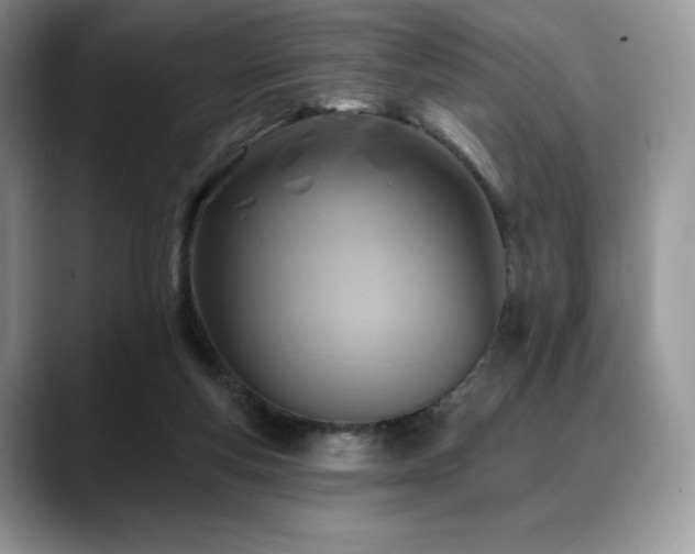 X0000088850163200706081141