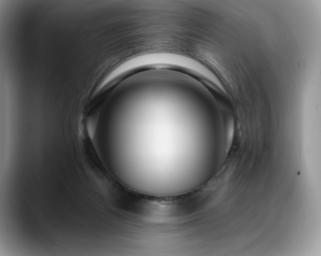 X0000088850164200706081141