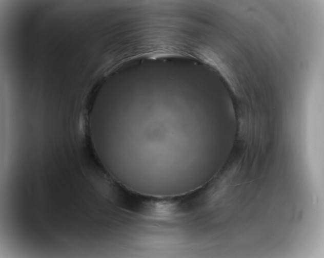 X0000088850165200706081141