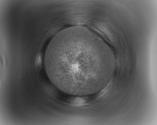 X0000088850166200706081141
